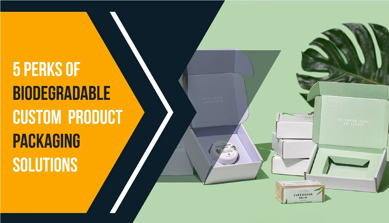 WhatsApp Image 2025-10-14 at 11.46.34_133c1965