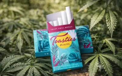 High-Impact Cannabis Pre Roll Packaging: Everything Brands Need to Know