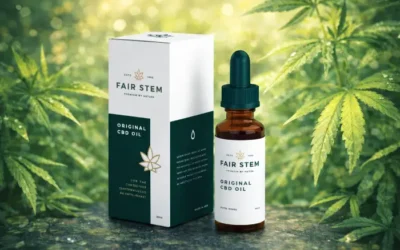 Custom Bottle Boxes: Elevating Your Brand and Protecting Your Products